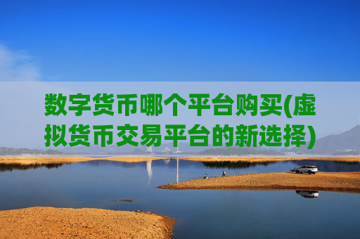 数字货币哪个平台购买(虚拟货币交易平台的新选择)