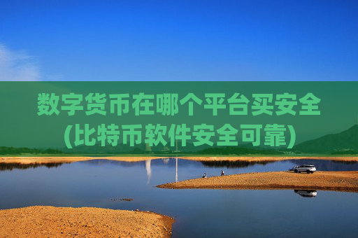 数字货币在哪个平台买安全(比特币软件安全可靠)