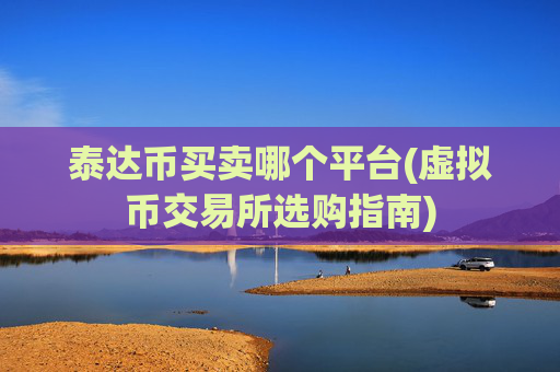 泰达币买卖哪个平台(虚拟币交易所选购指南)