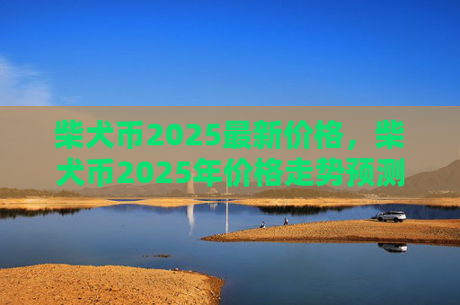 柴犬币2025最新价格,柴犬币2025年价格走势预测
