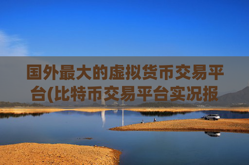 国外最大的虚拟货币交易平台(比特币交易平台实况报道)