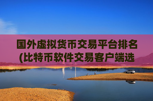 国外虚拟货币交易平台排名(比特币软件交易客户端选择)