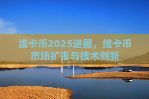 维卡币2025进展,维卡币市场扩张与技术创新