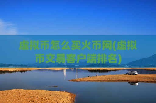 虚拟币怎么买火币网(虚拟币交易客户端排名)