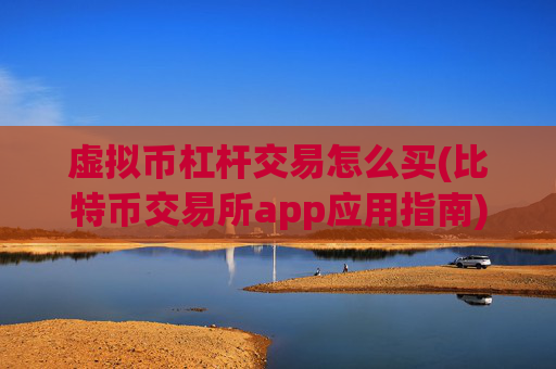 虚拟币杠杆交易怎么买(比特币交易所app应用指南)