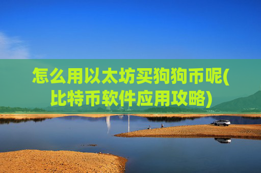 怎么用以太坊买狗狗币呢(比特币软件应用攻略)