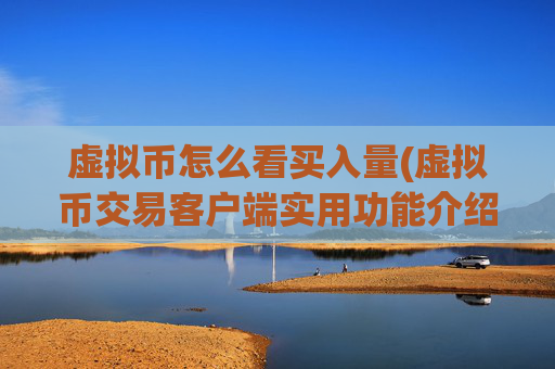 虚拟币怎么看买入量(虚拟币交易客户端实用功能介绍)