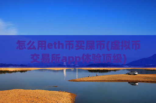 怎么用eth币买屎币(虚拟币交易所app体验顶级)