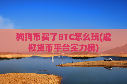 狗狗币买了BTC怎么玩(虚拟货币平台实力榜)
