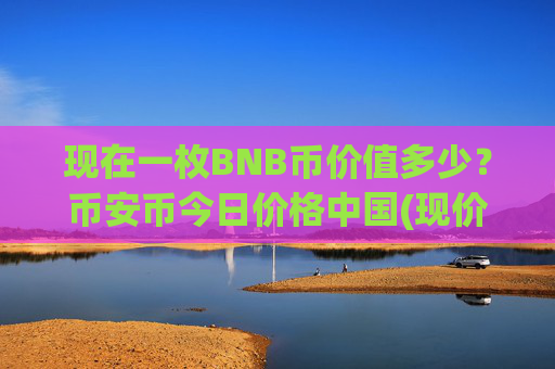 现在一枚BNB币价值多少?币安币今日价格中国(现价5317.37元)