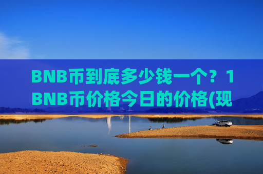 BNB币到底多少钱一个?1BNB币价格今日的价格(现价5271.55元)