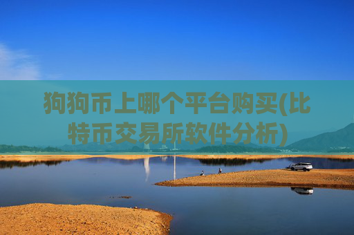 狗狗币上哪个平台购买(比特币交易所软件分析)