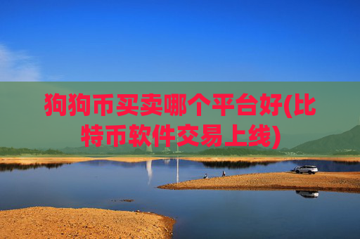 狗狗币买卖哪个平台好(比特币软件交易上线)