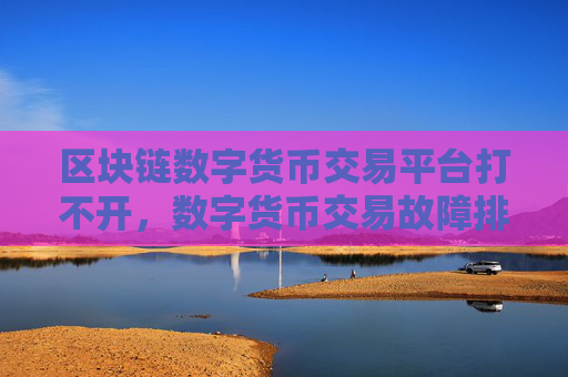 区块链数字货币交易平台打不开,数字货币交易故障排查指南