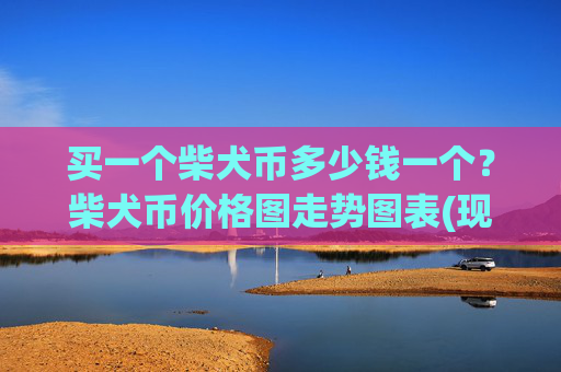 买一个柴犬币多少钱一个?柴犬币价格图走势图表(现价0.00023776元)