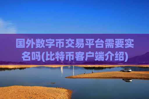 国外数字币交易平台需要实名吗(比特币客户端介绍)