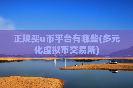 正规买u币平台有哪些(多元化虚拟币交易所)