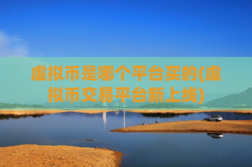 虚拟币是哪个平台买的(虚拟币交易平台新上线)