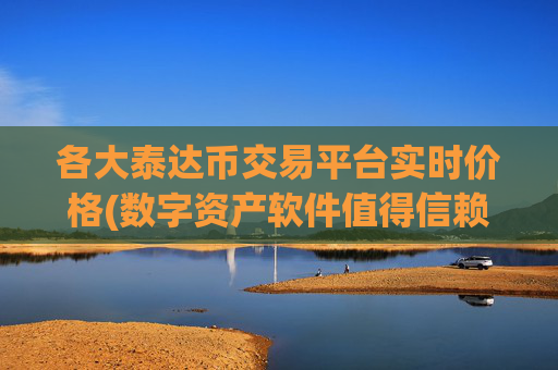 各大泰达币交易平台实时价格(数字资产软件值得信赖)