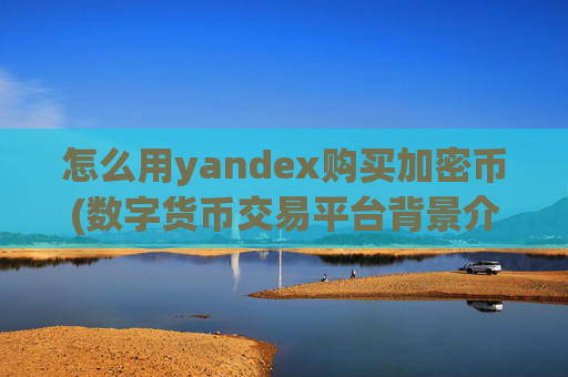 怎么用yandex购买加密币(数字货币交易平台背景介绍)
