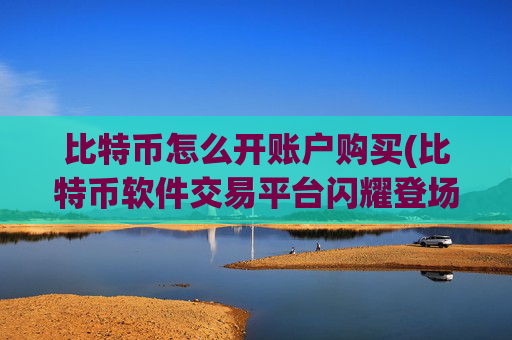 比特币怎么开账户购买(比特币软件交易平台闪耀登场)