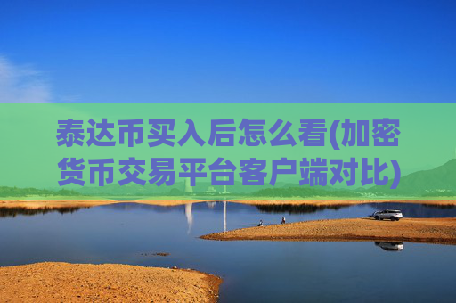 泰达币买入后怎么看(加密货币交易平台客户端对比)