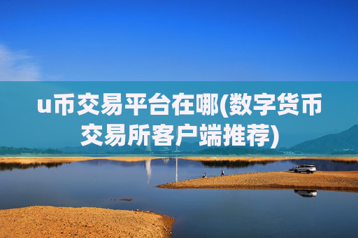 u币交易平台在哪(数字货币交易所客户端推荐)