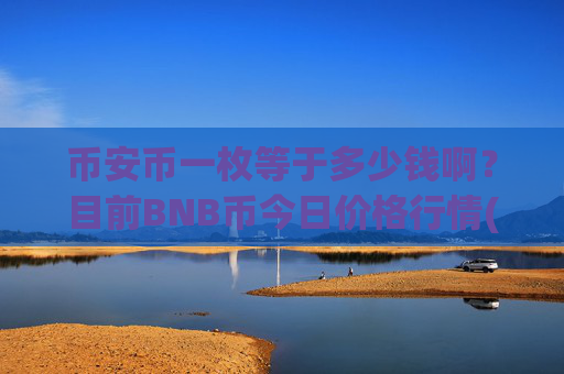 币安币一枚等于多少钱啊?目前BNB币今日价格行情(现价5252.53元)