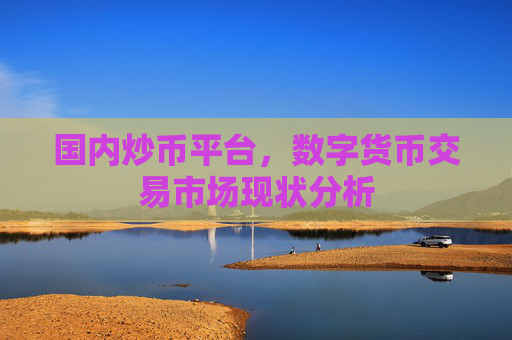 国内炒币平台,数字货币交易市场现状分析