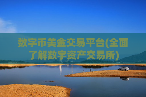 数字币美金交易平台(全面了解数字资产交易所)