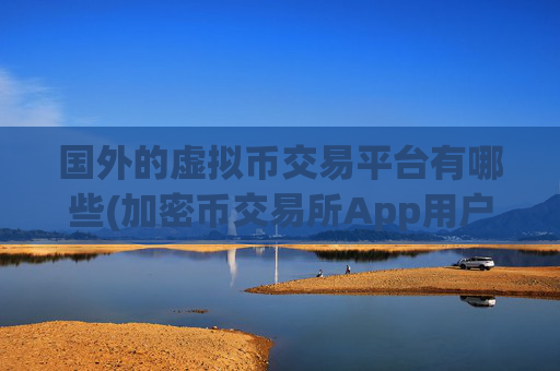 国外的虚拟币交易平台有哪些(加密币交易所App用户量上涨)