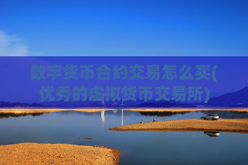 数字货币合约交易怎么买(优秀的虚拟货币交易所)