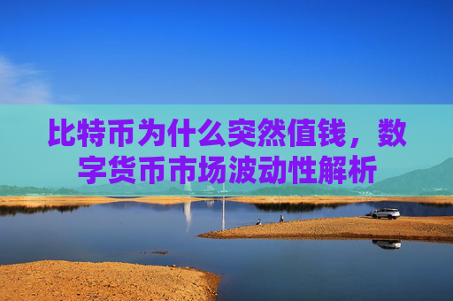 比特币为什么突然值钱,数字货币市场波动性解析