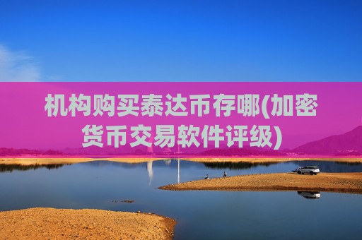 机构购买泰达币存哪(加密货币交易软件评级)