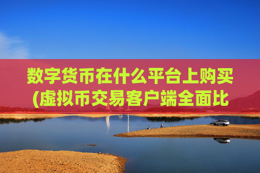 数字货币在什么平台上购买(虚拟币交易客户端全面比较)