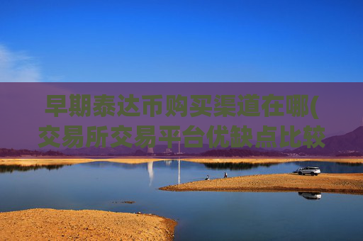 早期泰达币购买渠道在哪(交易所交易平台优缺点比较)