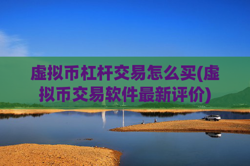 虚拟币杠杆交易怎么买(虚拟币交易软件最新评价)