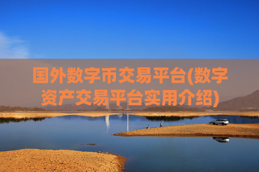 国外数字币交易平台(数字资产交易平台实用介绍)