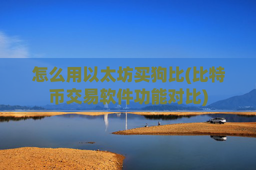 怎么用以太坊买狗比(比特币交易软件功能对比)