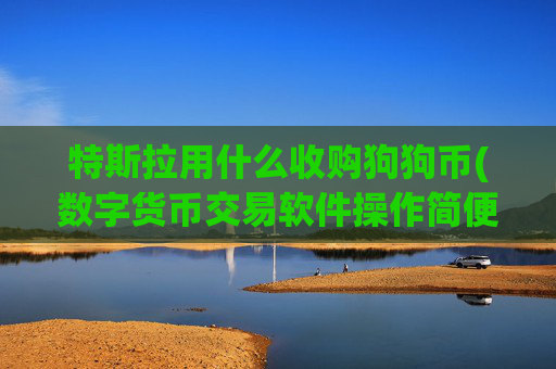 特斯拉用什么收购狗狗币(数字货币交易软件操作简便)
