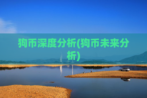 狗币深度分析(狗币未来分析)