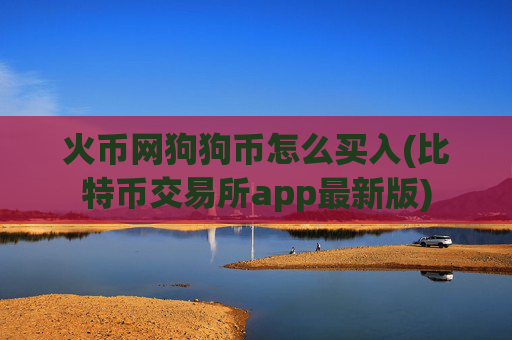 火币网狗狗币怎么买入(比特币交易所app最新版)