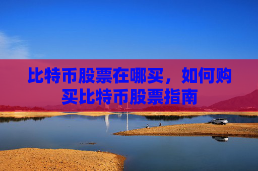比特币股票在哪买,如何购买比特币股票指南
