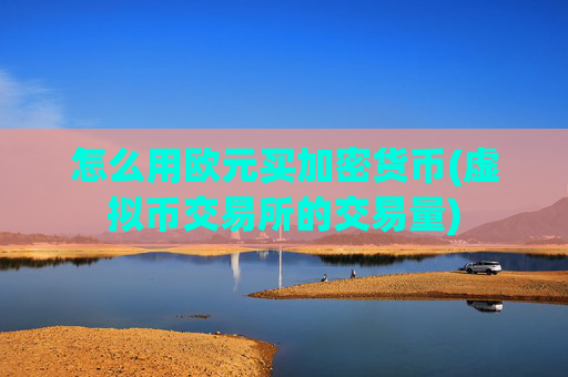 怎么用欧元买加密货币(虚拟币交易所的交易量)