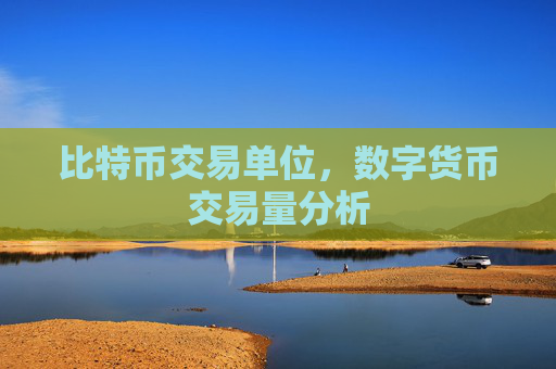 比特币交易单位,数字货币交易量分析