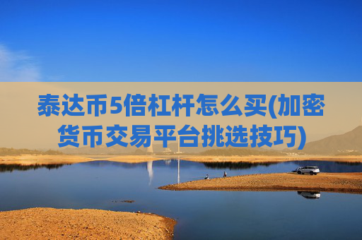 泰达币5倍杠杆怎么买(加密货币交易平台挑选技巧)