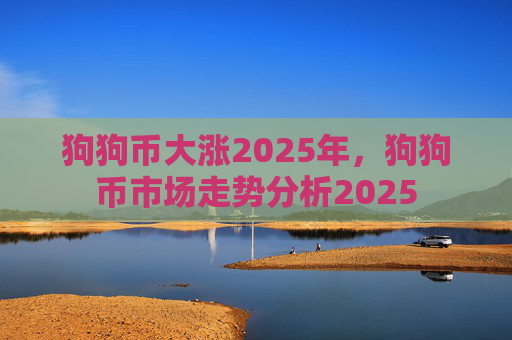 狗狗币大涨2025年，狗狗币市场走势分析2025