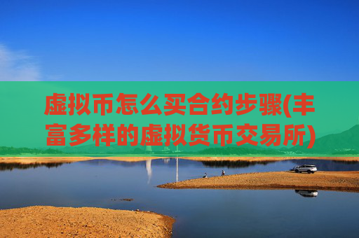 虚拟币怎么买合约步骤(丰富多样的虚拟货币交易所)