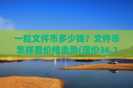 一粒文件币多少钱?文件币怎样看价格走势(现价36.1292元)