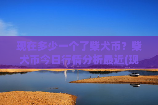 现在多少一个了柴犬币？柴犬币今日行情分析最近(现价0.0002301元)